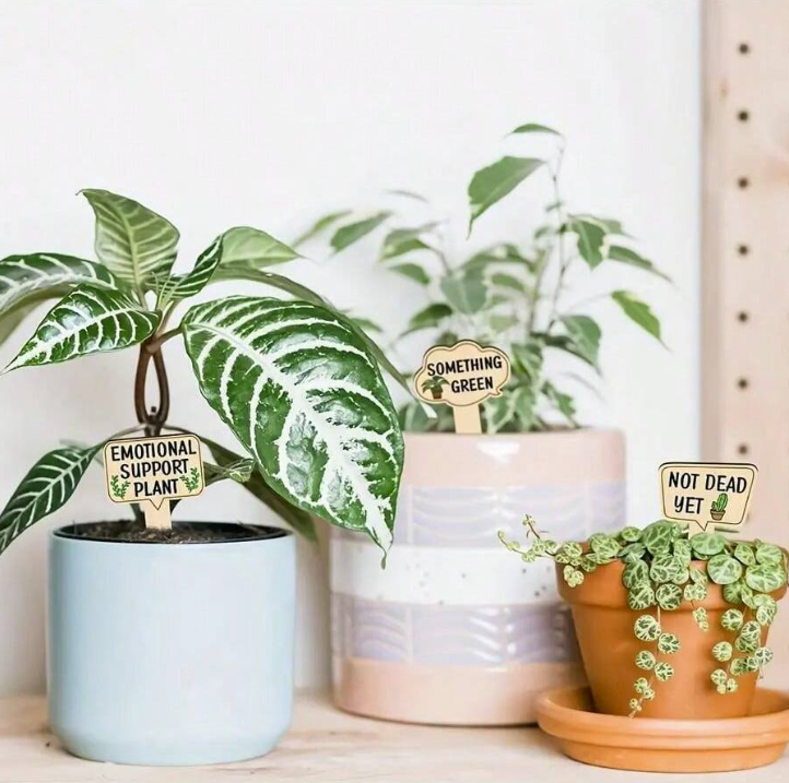 Funny Plant Marker Set