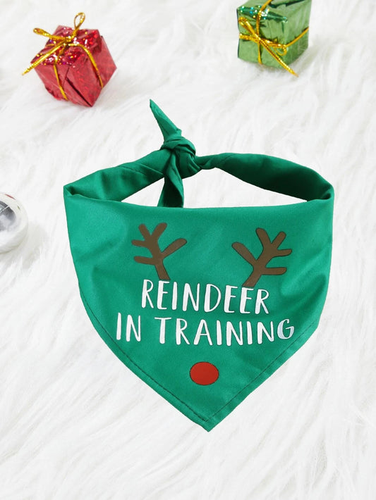 Pet Reindeer In Training Bandana